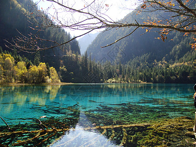 天堂美川西风光美哉九寨沟背景