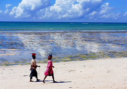 莫桑比克海峡风光珊瑚滩涂退潮后赶海人图片