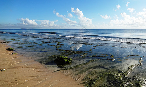 非洲美景莫桑比克海峡风光珊瑚礁海滩退潮时背景