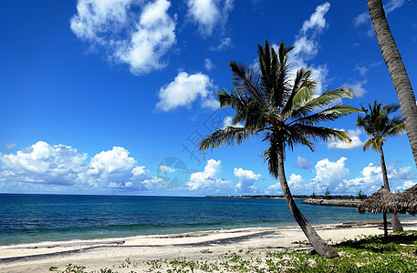 莫桑比克海峡风光蓝天白云椰树海风图片