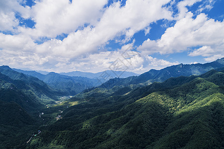 佘山森林公园航拍森林公园背景