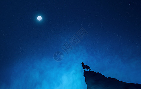星空狼照片 星空狼背景 星空狼摄影图片下载 摄图网 星空狼照片 星空狼背景 星空狼摄影图片下载 摄图网