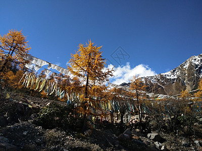 西藏318沿路风景图片