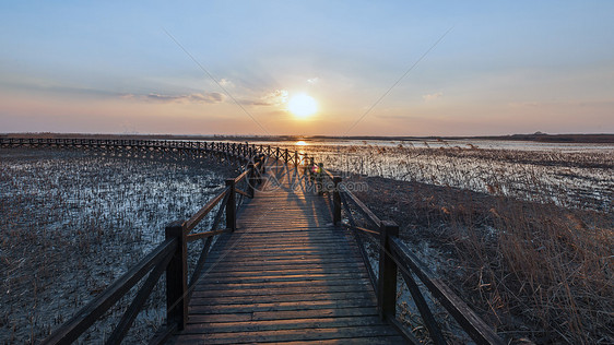 上海崇明西沙湿地公园图片