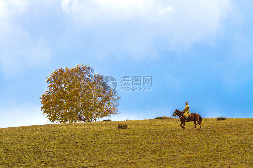 内蒙古自治区乌兰布统景区秋色图片