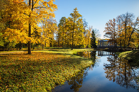 俄罗斯最美的园林秋色背景图片