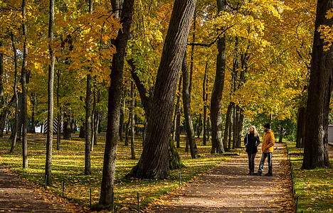 树林中的情侣俄罗斯圣彼得堡著名景点夏宫下花园园林秋色背景