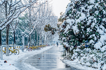 大雪后的天鹅湖公园图片