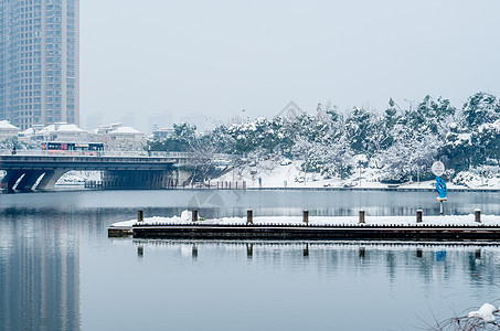 大雪后的合肥天鹅湖公园图片