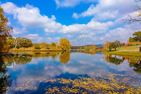 公主湖秋天内蒙古自治区乌兰布统公主湖景区背景