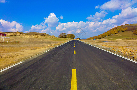 内蒙古自治区乌兰布统杨树背道路图片