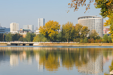 沈阳城市风光背景图片