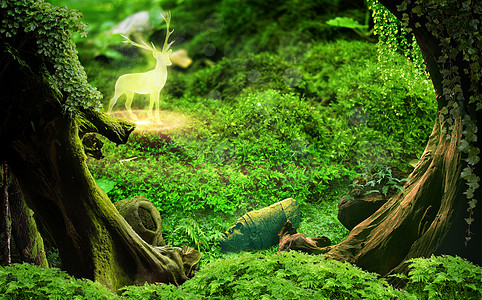 梦幻森林森林中苔藓树高清图片