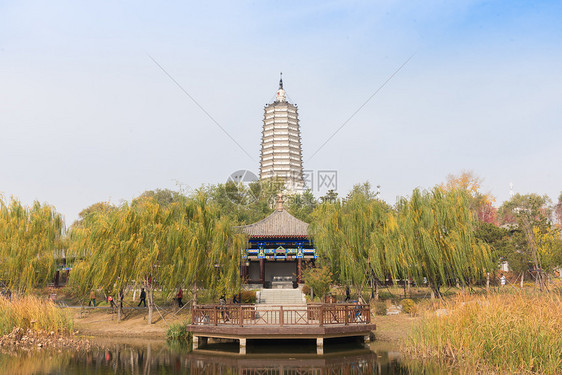 沈阳秋季风光舍利塔滩地公园图片