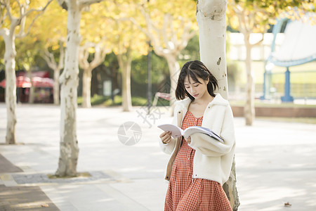 文艺少女户外看书图片