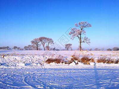 吉林雾凇岛冰雪天地宛如仙境图片