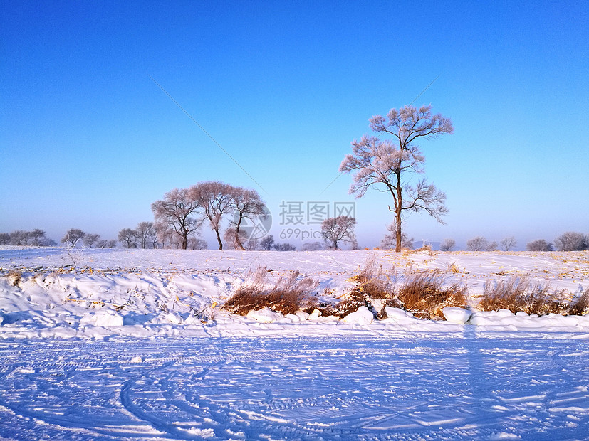 吉林雾凇岛冰雪天地宛如仙境图片