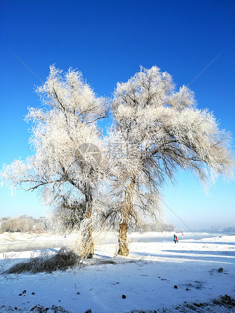 吉林雾凇岛冰雪天地图片