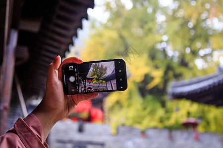 中台禅寺西安古观音禅寺手机摄影背景