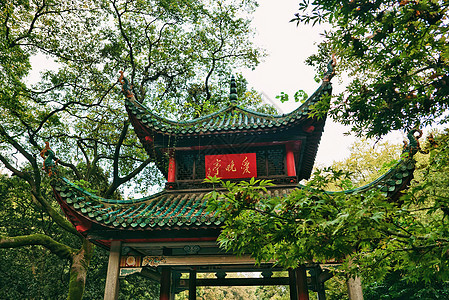 中国四大名亭之一的爱晚亭枫树高清图片素材
