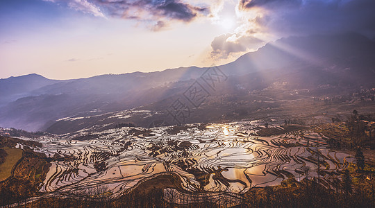 元阳梯田系列背景图片