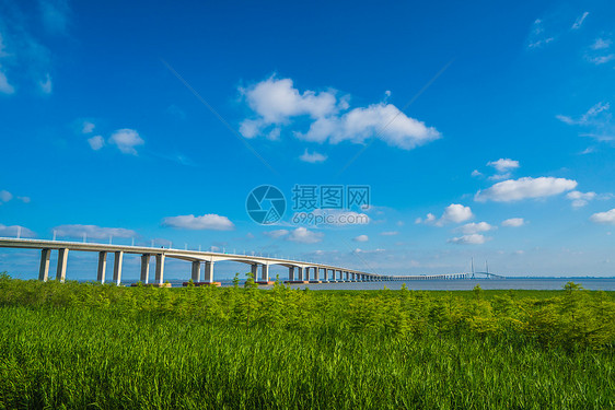 上海长江大桥风光图片