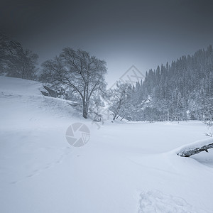 冰雪天地图片