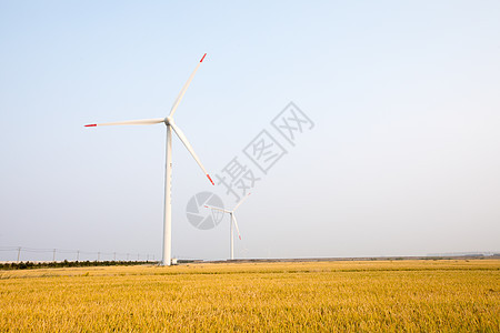 稻田风力发电机背景图片