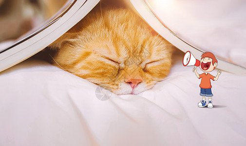 女性睡觉睡眠照片  |青年居家女性睡觉睡眠元素  |上学赖床的场景插画