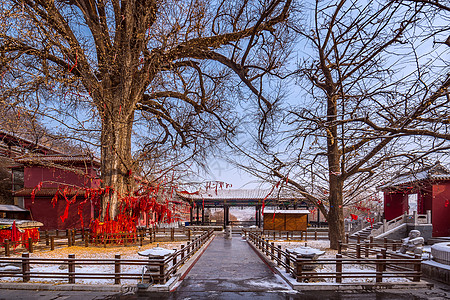 雪后千年古刹沂蒙龙兴寺图片