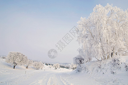 冬季雪景图片