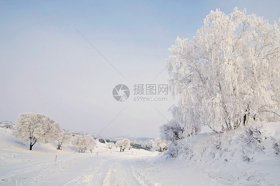 冬季雪景图片