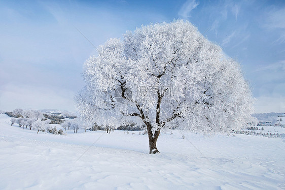 冬季雪景图片