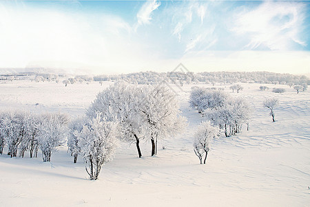 冬季雪景图片