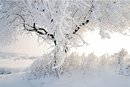 冬季雪景图片