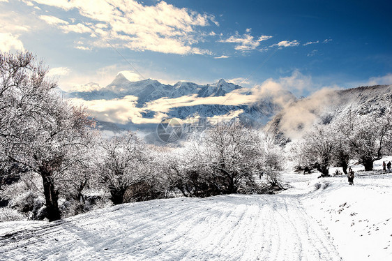 冬季雪景图片