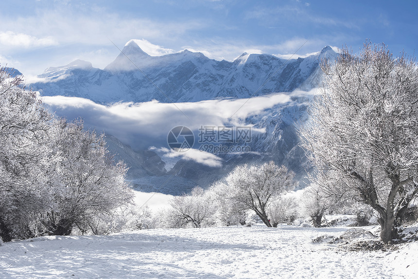 冬季雪景图片