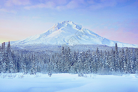 冬季雪景图片