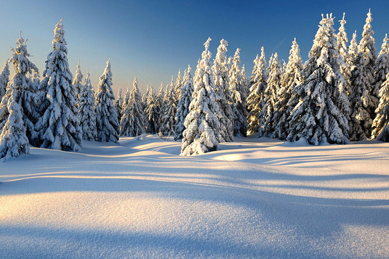 冬季雪景图片