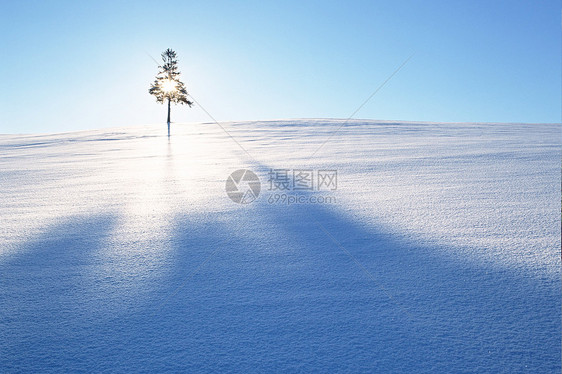 冬季雪景图片