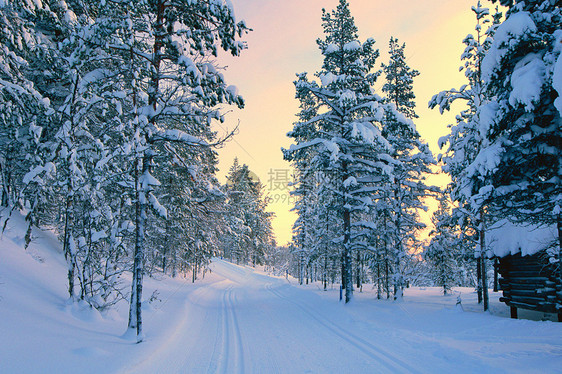 冬季雪景图片