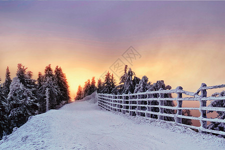 冬景色图片 冬景色素材 冬景色高清图片 摄图网图片下载