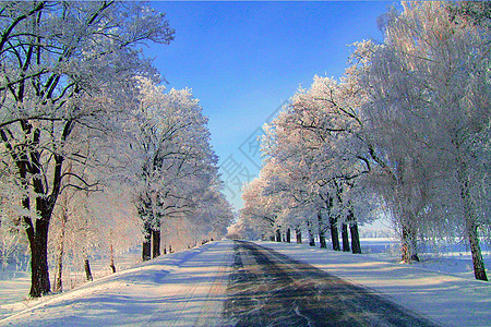 冬季雪景图片