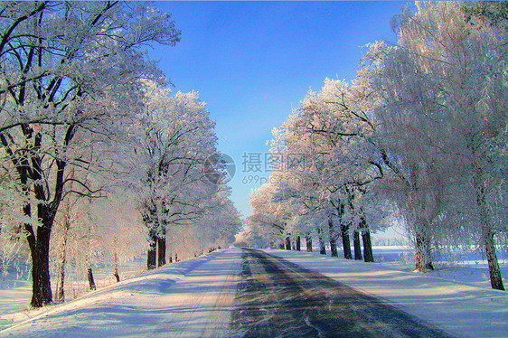 冬季雪景图片