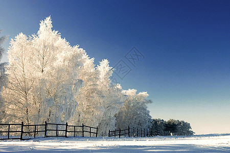 冬季雪景图片