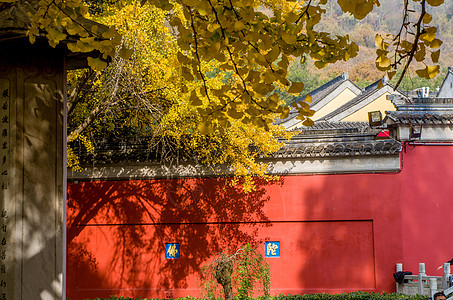 多彩秋天树叶南京栖霞寺的红墙与银杏背景