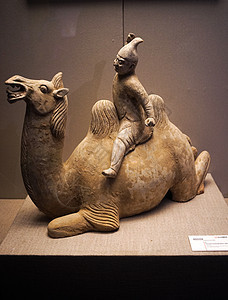 西安博物馆胡人骆驼像图片