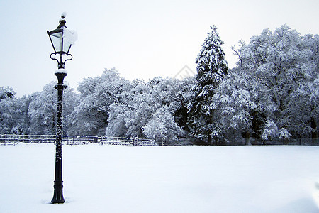 冬季雪景图片