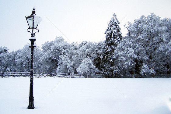 冬季雪景图片