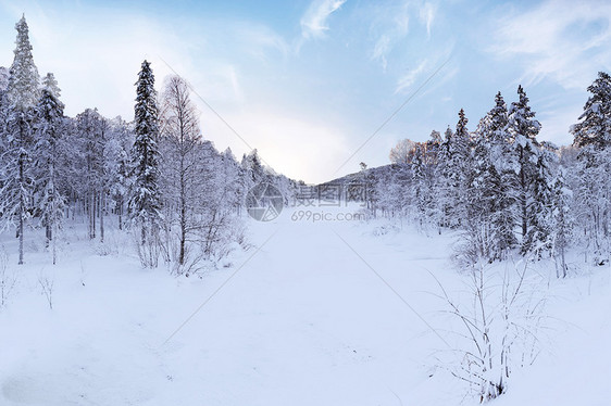 冬季雪景图片